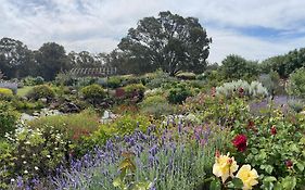 River Gardens Axedale Pet Friendly Farmstay B&B